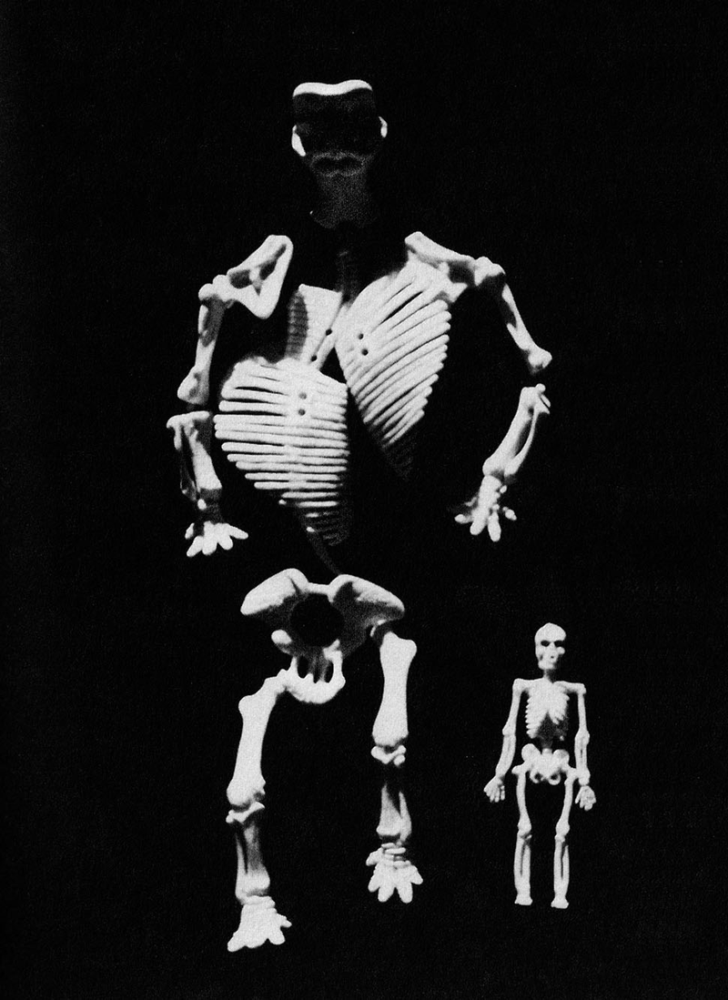 Illustration for article titled Where Monsters Come From, or Bad Paleontology